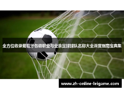 全方位收录葡萄牙各级职业与业余足球球队名称大全深度指南宝典集 全方位收录葡萄牙各级职业与业余足球球队名称大全深度指南宝典集