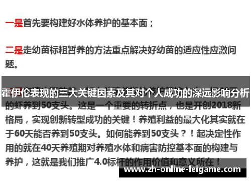 霍伊伦表现的三大关键因素及其对个人成功的深远影响分析